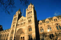 Natural History M.
