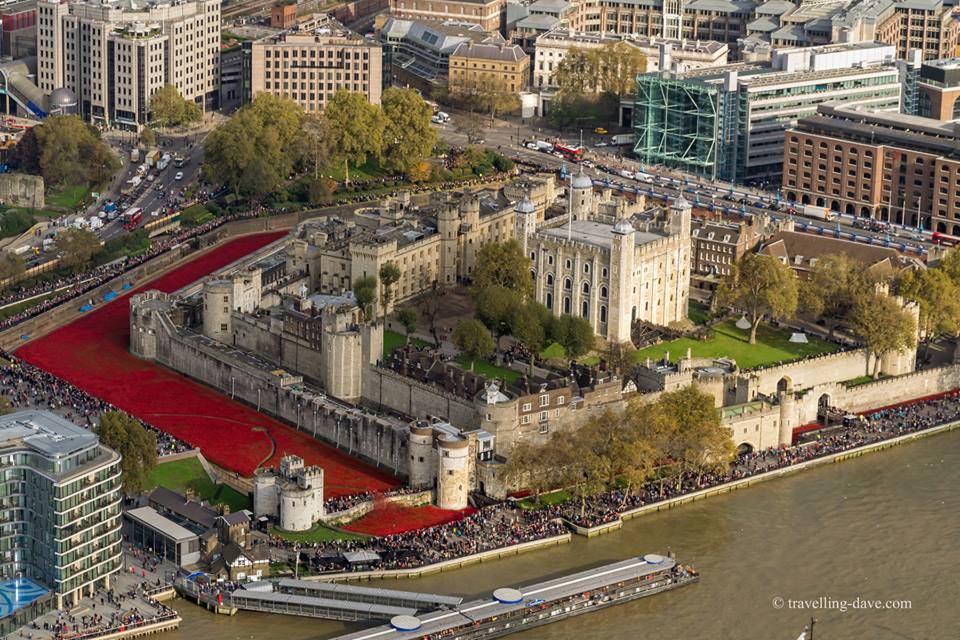 Papaveri Torre di Londra