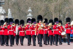 Il cambio della Guardia a Buckingham Palace