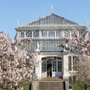 Sounds of Blossom, Kew Gardens
