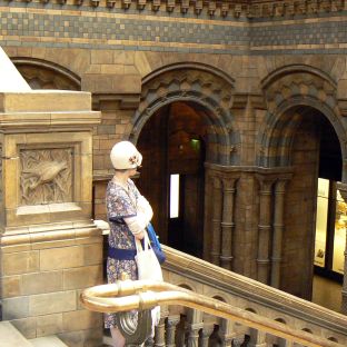 Natural History Museum © PGoduto