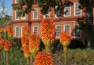 Red Hot Poker and Kew Palace
