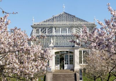 Sounds of Blossom, Kew Gardens