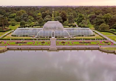 Vista aerea di Palm House a Kew Gardens