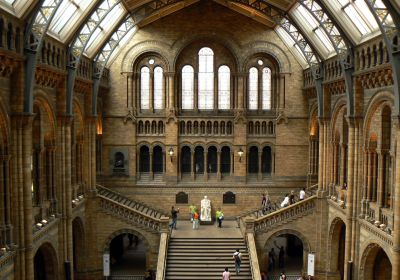 Natural History Museum © PGoduto