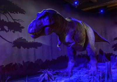 Nella galleria dei dinosauri sono esposti modelli realistici e reperti importanti