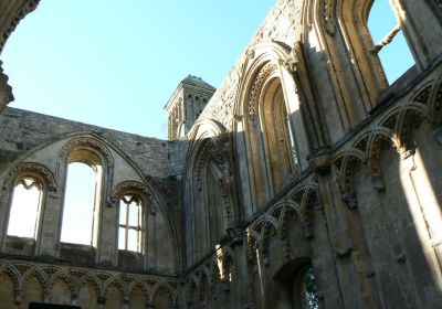 Glastonbury Abbey