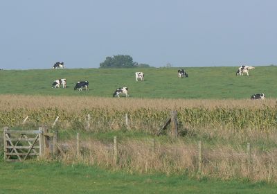 Avebury