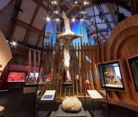 An albatross spreads its wings at the center of the exhibition nest installation © Trustees of the Natural History Museum