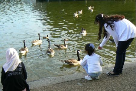 Serpentine Lake ad Hyde Park