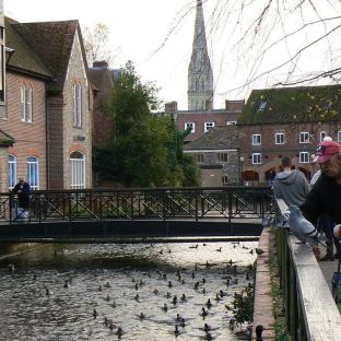 Salisbury