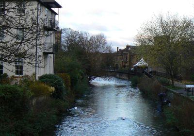 Salisbury