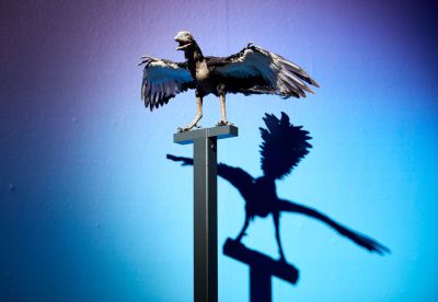 Reconstruction of Archaeopteryx © Trustees of the Natural History Museum