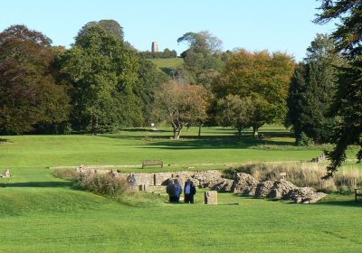 Glastonbury Abbey