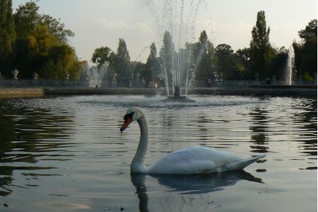 Italians Gardens, Kensington Gardens