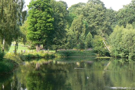 Hampstead Heath