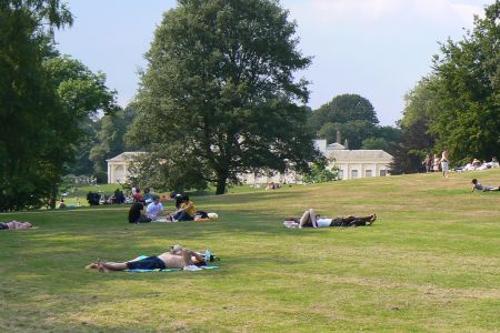 Hampstead Heath