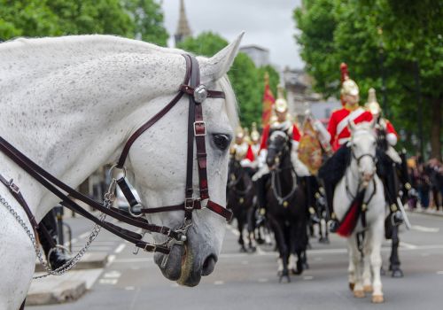 Cambio della Guardia Londra