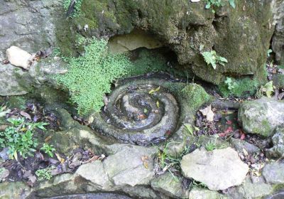 Glastonbury White Spring