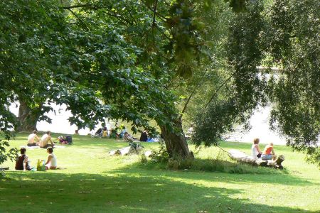 Hampstead Heath