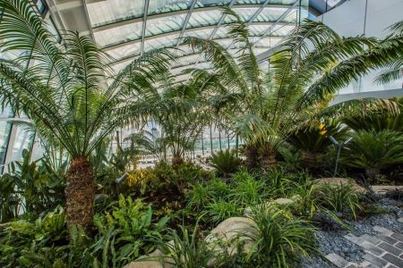 La temperatura controllata allo Sky Garden suggerisce l'uso del cappotto