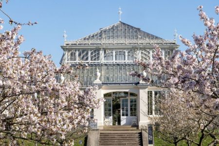 Sounds of Blossom, Kew Gardens