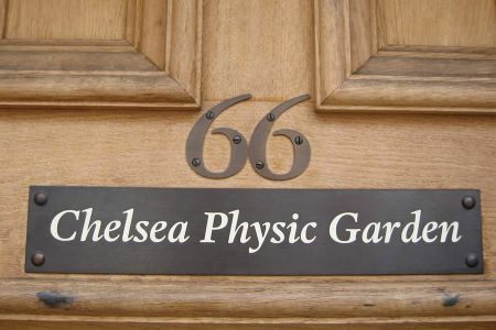 Chelsea Physic Garden Londra