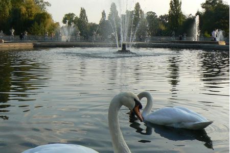 Italians Gardens, Kensington Gardens