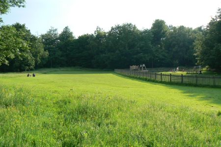 Hampstead Heath