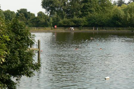 Hampstead Heath