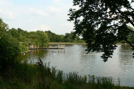 Hampstead Heath