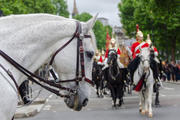 Cambio della Guardia Londra