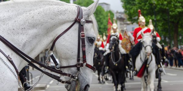 Cambio della Guardia Londra