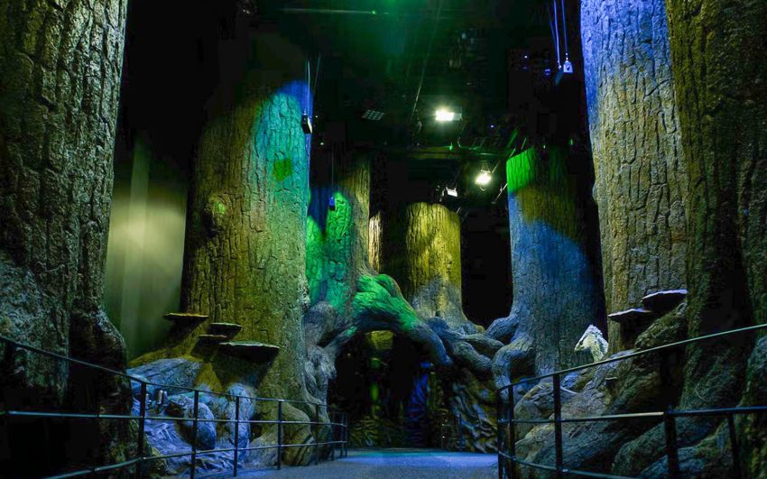 Il Set della Foresta Proibita così come ricreato al Museo di harry Potter a Londra