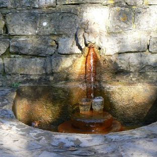 Glastonbury Chalice Well