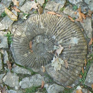 Glastonbury Chalice Well