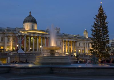 L'albero di Natale che ogni anno viene allestito di fronte alla National Gallery @ National Gallery