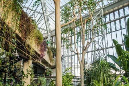 Conservatory, Barbican Centre, CREDIT Max Colson